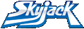 SkyJack Publishing